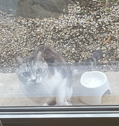 スクリーンショット 2025-10-23 11.01.52