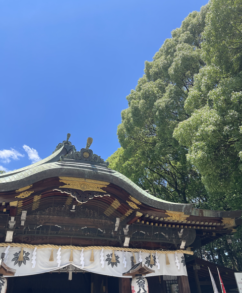 スクリーンショット 2025-08-17 16.58.31