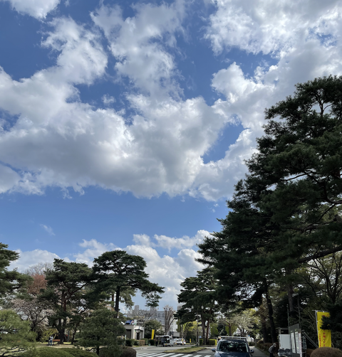 スクリーンショット 2023-03-31 12.13.32