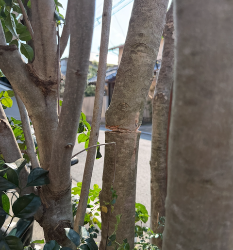 スクリーンショット 2026-03-29 11.35.19