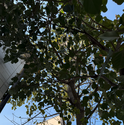 スクリーンショット 2026-03-30 23.28.41