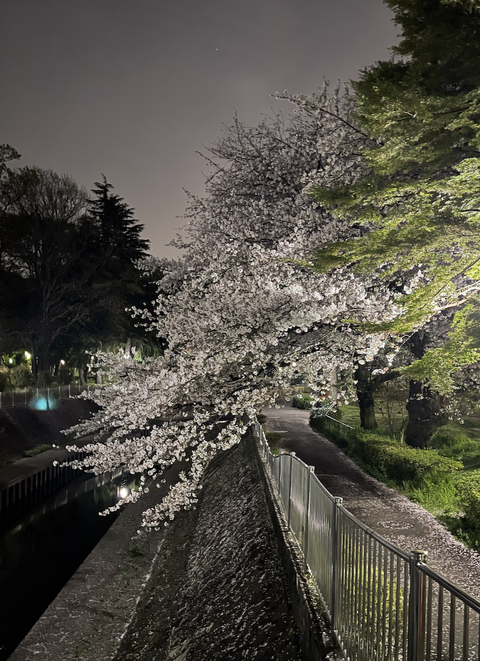 スクリーンショット 2021-03-31 9.49.08