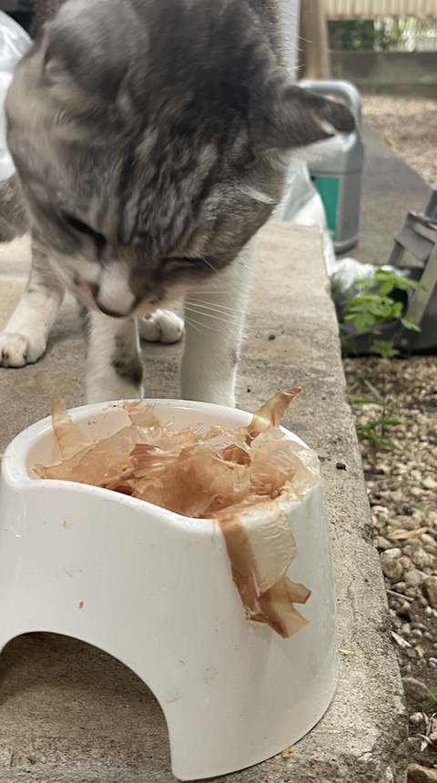 スクリーンショット 2025-09-26 8.28.48