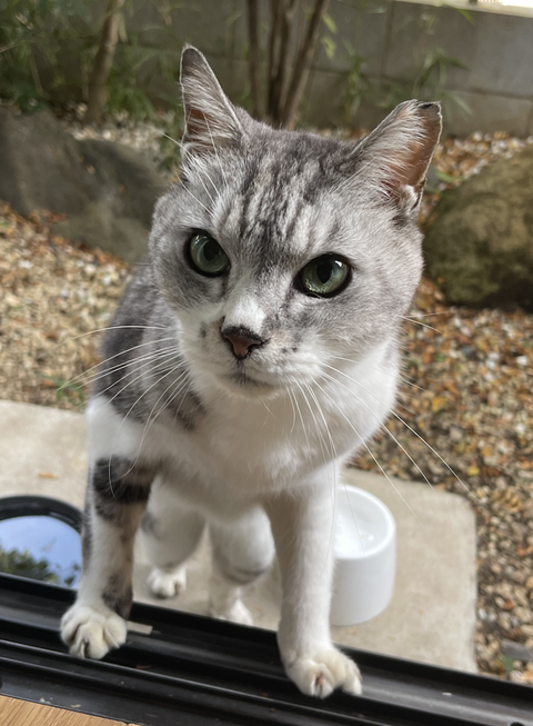 スクリーンショット 2024-12-06 11.51.23