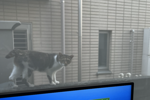 スクリーンショット 2022-08-03 13.44.16