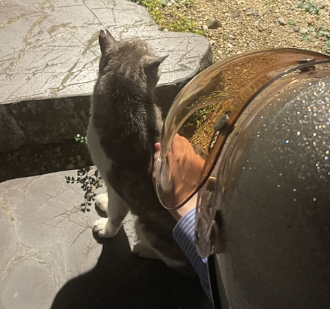 スクリーンショット 2025-08-02 11.07.14