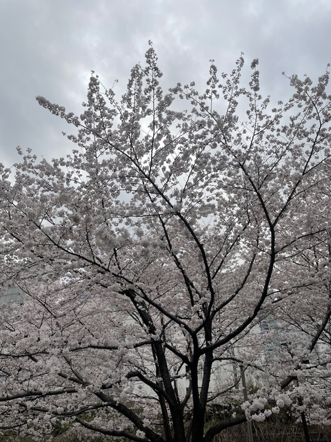 スクリーンショット 2022-03-28 10.57.42