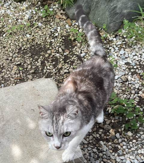 スクリーンショット 2025-08-18 21.31.30