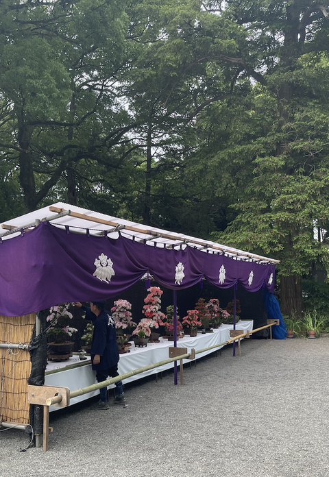 スクリーンショット 2024-05-30 13.22.32