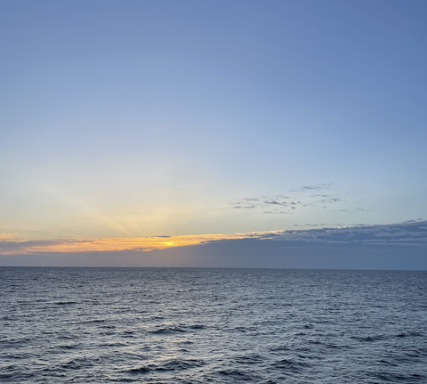 スクリーンショット 2025-09-20 11.43.38