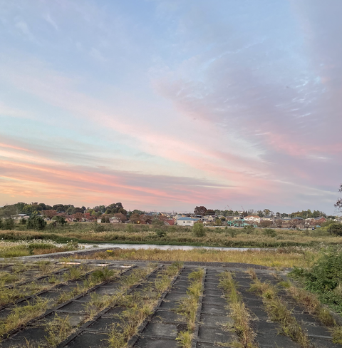 スクリーンショット 2025-11-06 22.13.51