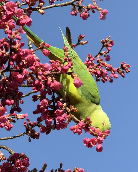 スクリーンショット 2026-03-05 12.18.15