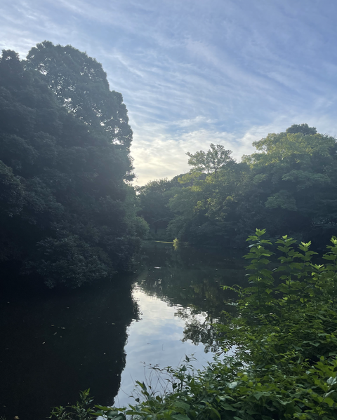 スクリーンショット 2025-09-04 9.40.54