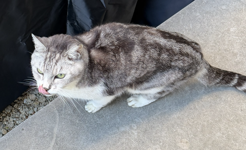 スクリーンショット 2025-12-24 10.12.57