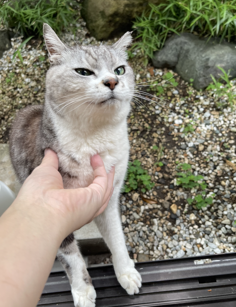 スクリーンショット 2025-08-28 13.22.38