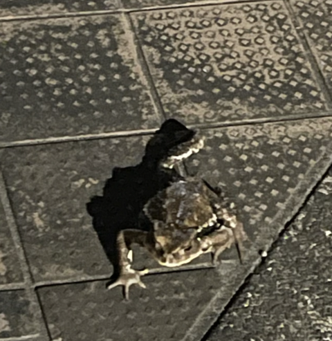 スクリーンショット 2025-09-04 9.40.34