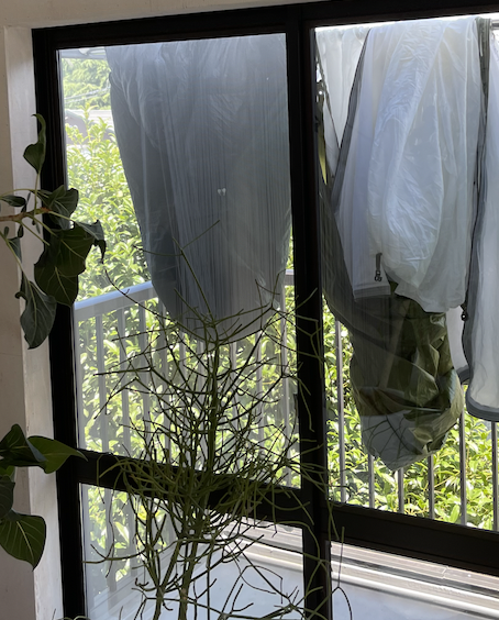 スクリーンショット 2023-06-08 10.50.07