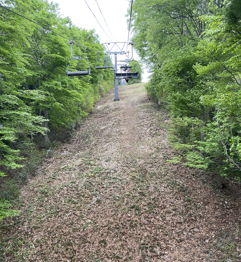 スクリーンショット 2024-05-07 19.55.22