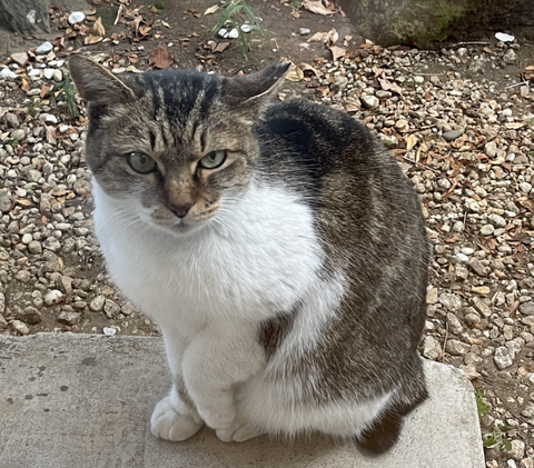 スクリーンショット 2023-12-31 17.05.53