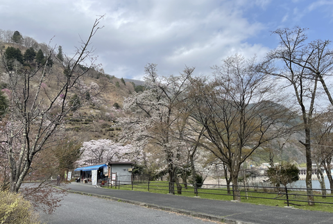 スクリーンショット 2021-04-01 1.39.15