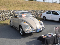 0325cc