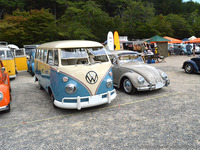 0917zf