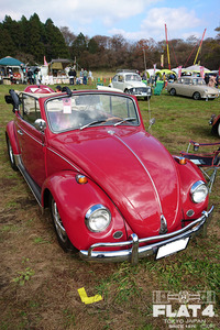 1116zc