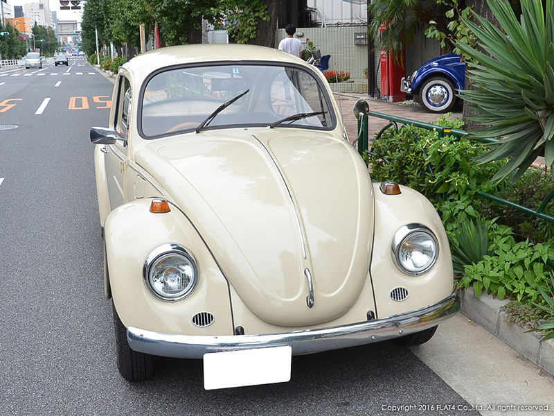 角野卓造様ご来店 Today S Flat4