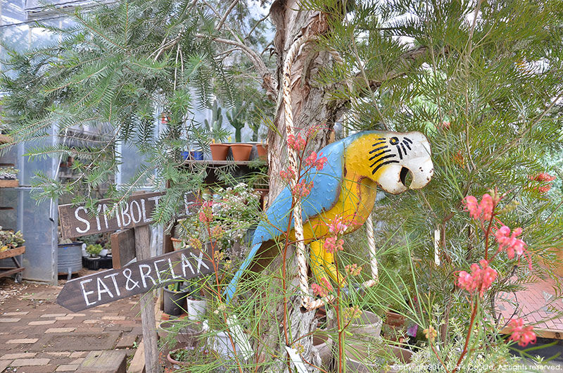 Thank You Sold Player Piano Today S Flat4 Thank You Sold Player Piano Today S Flat4