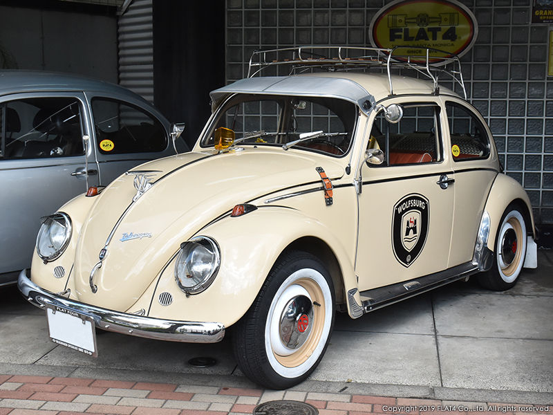 □Gorgeous beetle!! : Today's FLAT4