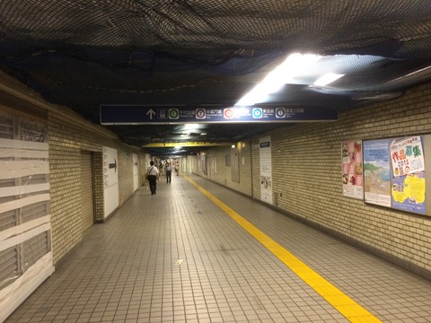 散策びより