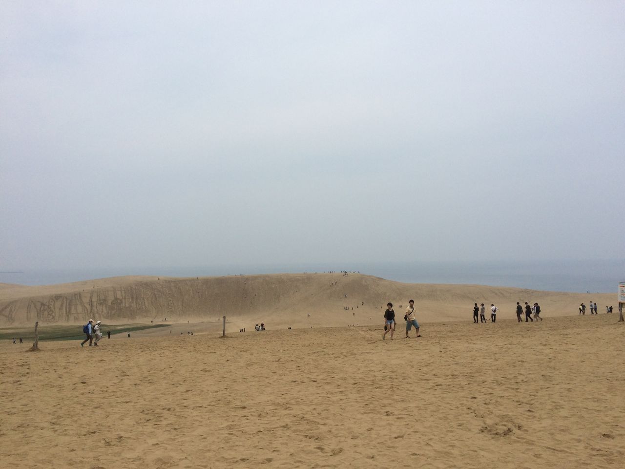 本当に 砂丘だけなの 鳥取県 鳥取砂丘散策 鳥取が誇る観光名所 鳥取県鳥取市 散策びより