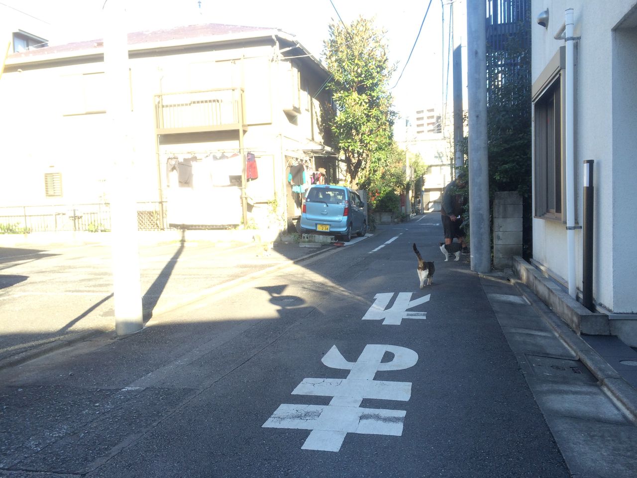 路地裏おさんぽ 護国寺 雑司ヶ谷散策 東京都文京区 豊島区 散策びより 路地裏おさんぽ 護国寺 雑司ヶ谷散策 東京都文京区 豊島区 散策びより