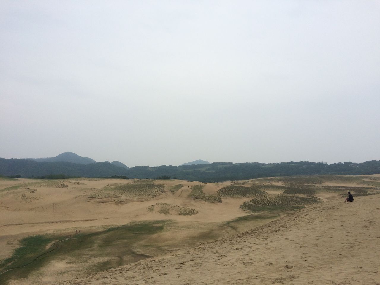 本当に 砂丘だけなの 鳥取県 鳥取砂丘散策 鳥取が誇る観光名所 鳥取県鳥取市 散策びより