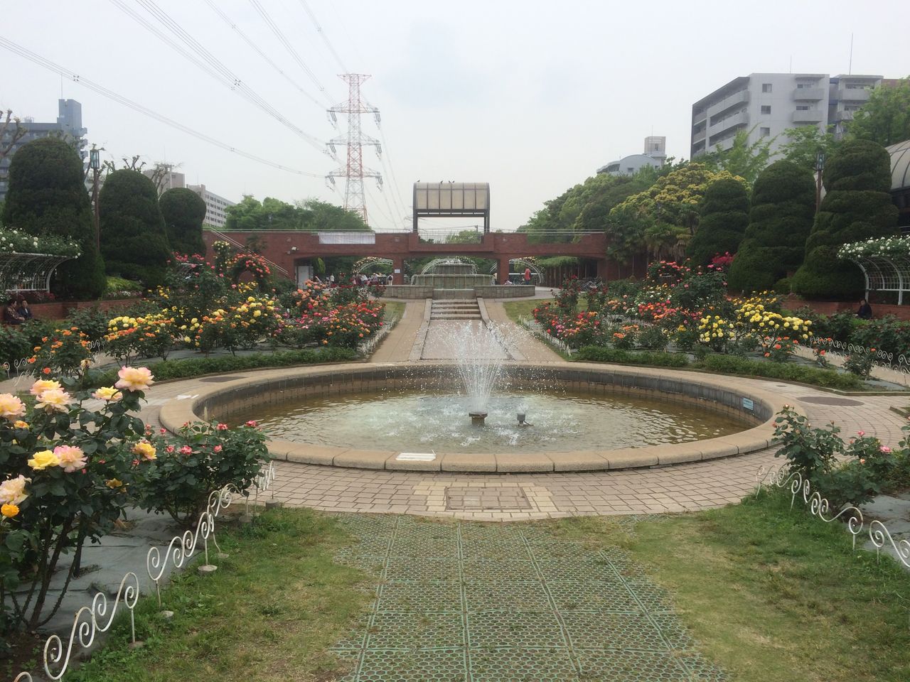 インド人が住む公園緑地都市 西葛西散策 東京都江戸川区 散策びより インド人が住む公園緑地都市 西葛西散策 東京都江戸川区 散策びより