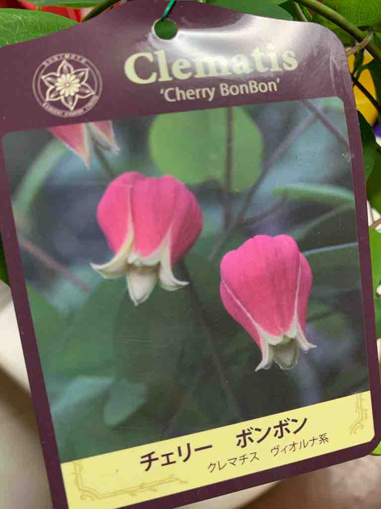 おぼえ書き的なナニカ