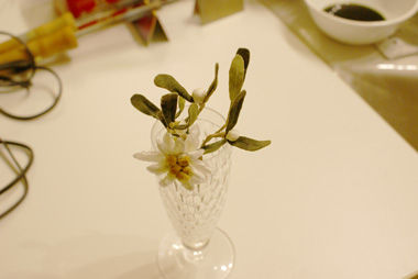 DSC00065