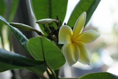 DSC09384-0419