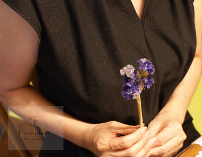 DSC00444-1003