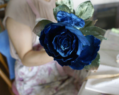 DSC09916