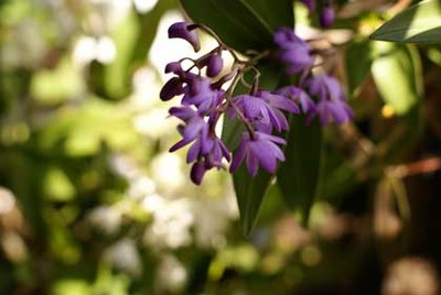 DSC09387-0419