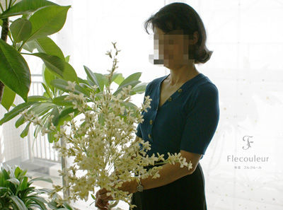 DSC00460