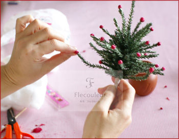 DSC07288-1211-lesson