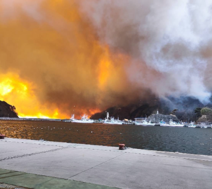 大船渡氏火災３