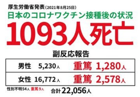 2021.08.25