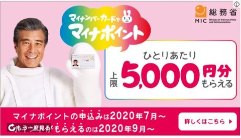 マイナンバーキャンペーン　金を上げる