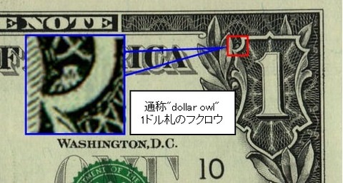 フクロウ　1ドル