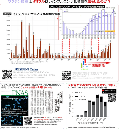 インフルエンザワクチンは打つな２