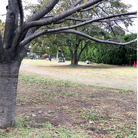 20191027_034509219_iOS