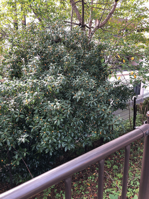20191027_034008492_iOS